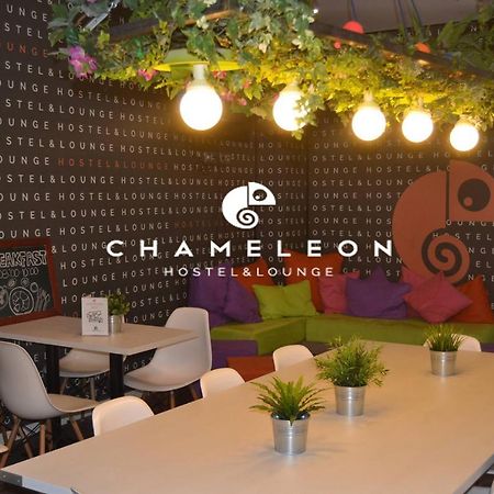 Chameleon Youth Hostel Αλικάντε Εξωτερικό φωτογραφία