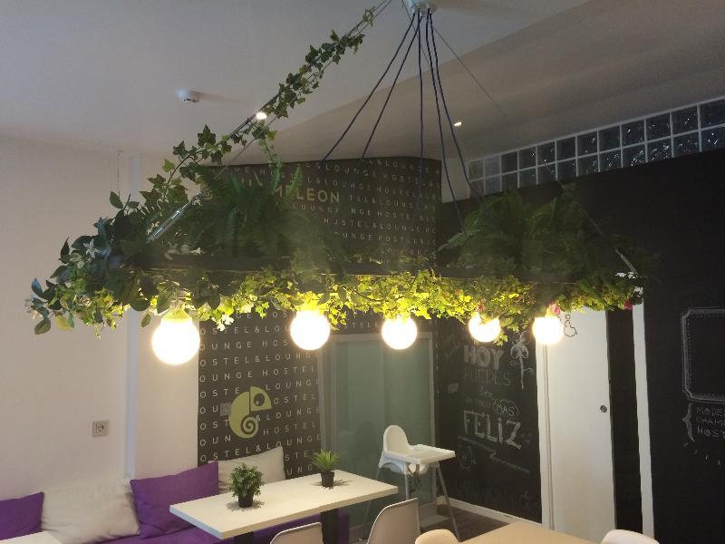 Chameleon Youth Hostel Αλικάντε Εξωτερικό φωτογραφία
